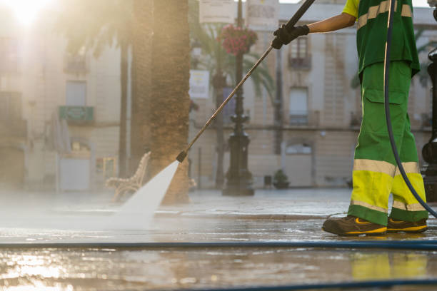 Best Animal Enclosure Cleaning  in Holly, MI